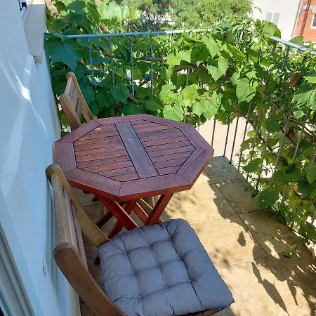 Guest house Ivanovic 3*